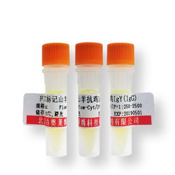 北京芯詣 產(chǎn)品價(jià)格解析與市場定位探析（第5頁）